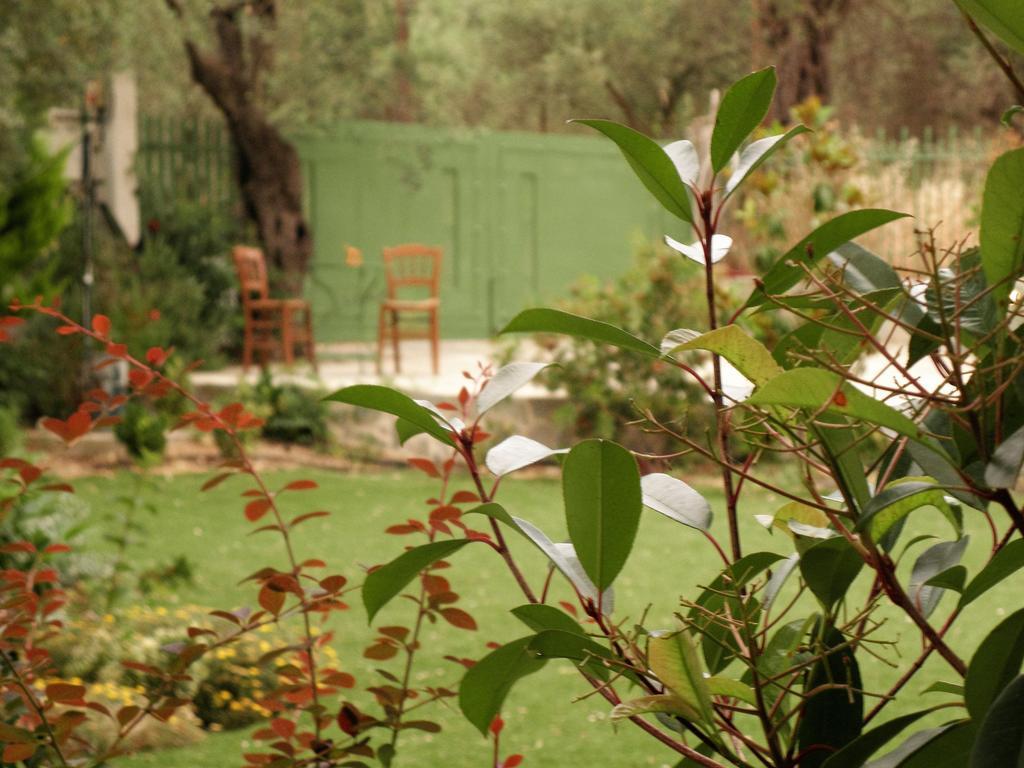 Ampoulos Rooms & Apartments Kedro Dış mekan fotoğraf