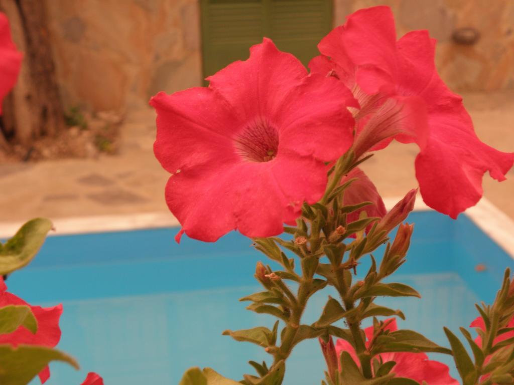 Ampoulos Rooms & Apartments Kedro Dış mekan fotoğraf