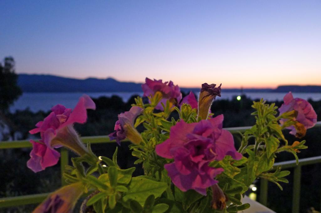 Ampoulos Rooms & Apartments Kedro Dış mekan fotoğraf